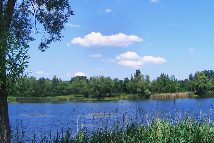 Bodenseeuferplan_See_a Blick auf See.