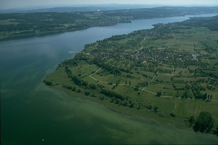 Bodenseeuferplan_hoeri_a Blick auf den Bodensee von oben.