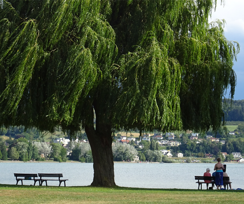 Blick auf Hemmenhofen.
