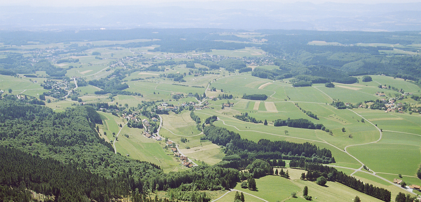 Blick auf den Hotzenwald.