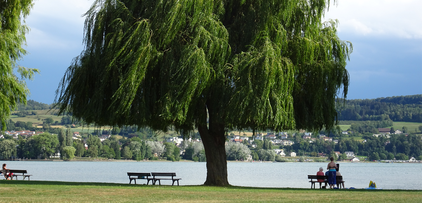 Blick auf Hemmenhofen.